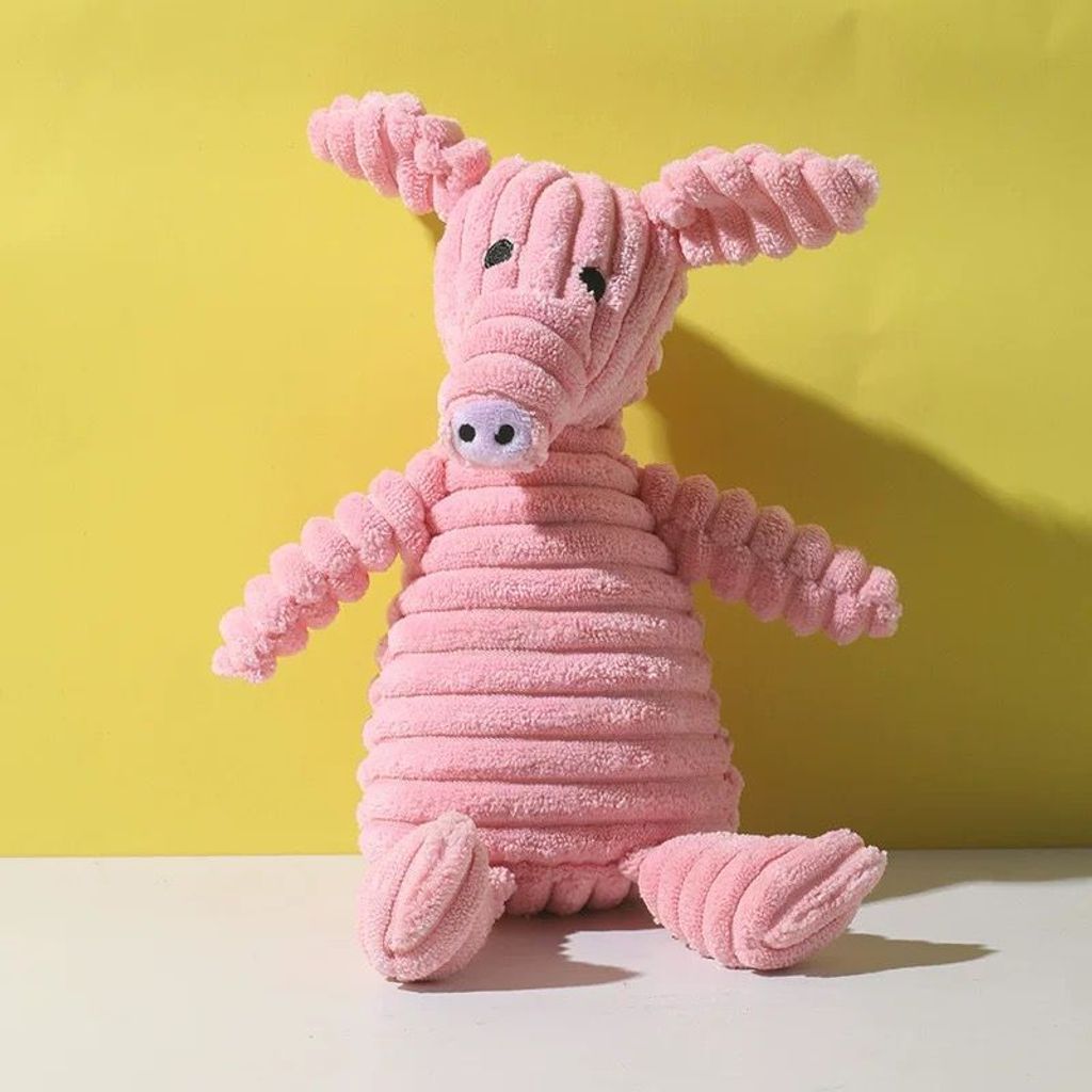 WhatsApp Image 2026-01-21 at 4.36.32 PM (4)