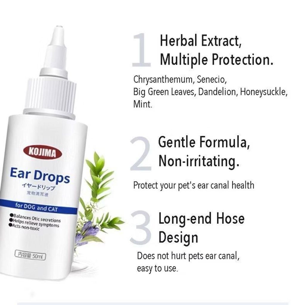 WhatsApp Image 2026-01-30 at 11.51.42 AM (1)