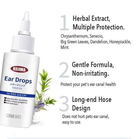 WhatsApp Image 2026-01-30 at 11.51.42 AM (1)