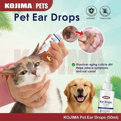 WhatsApp Image 2026-01-30 at 11.51.42 AM