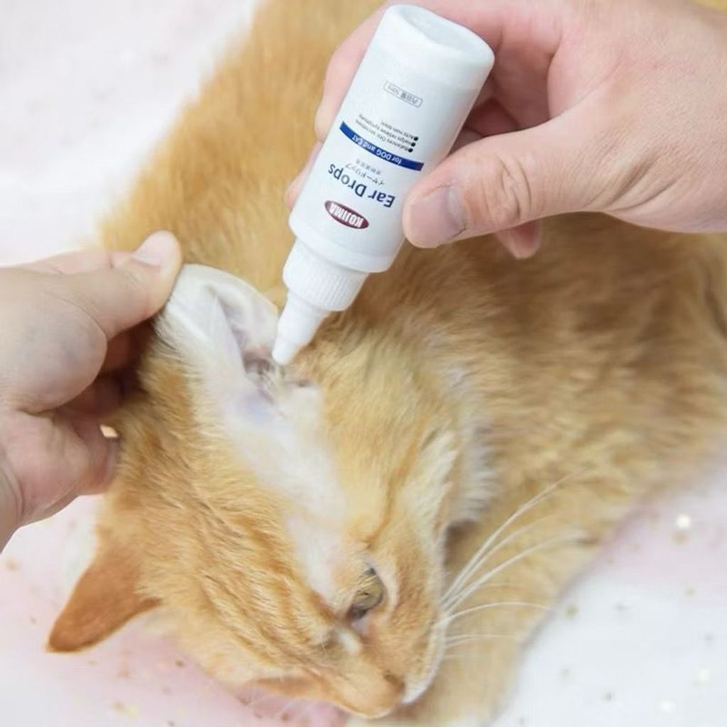 WhatsApp Image 2026-01-30 at 11.51.42 AM (3)