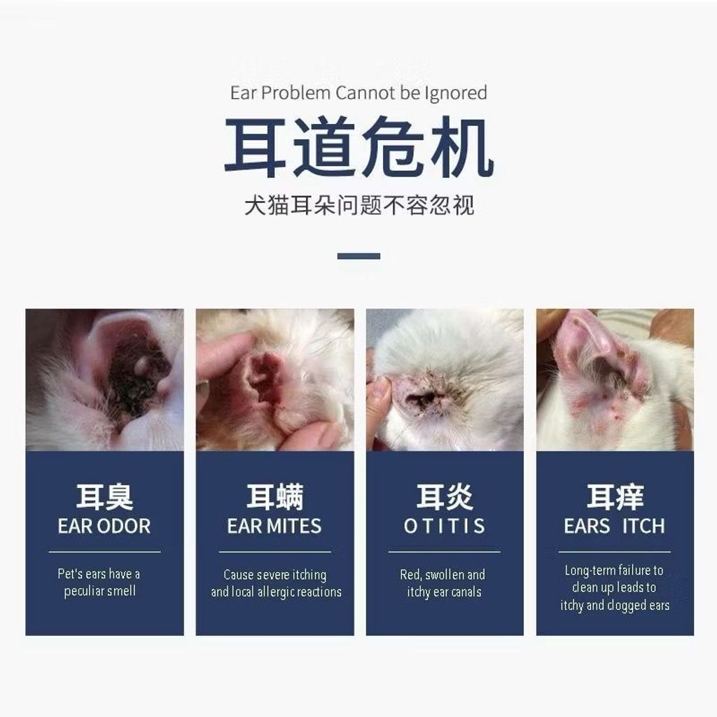 WhatsApp Image 2026-01-30 at 11.51.42 AM (2)