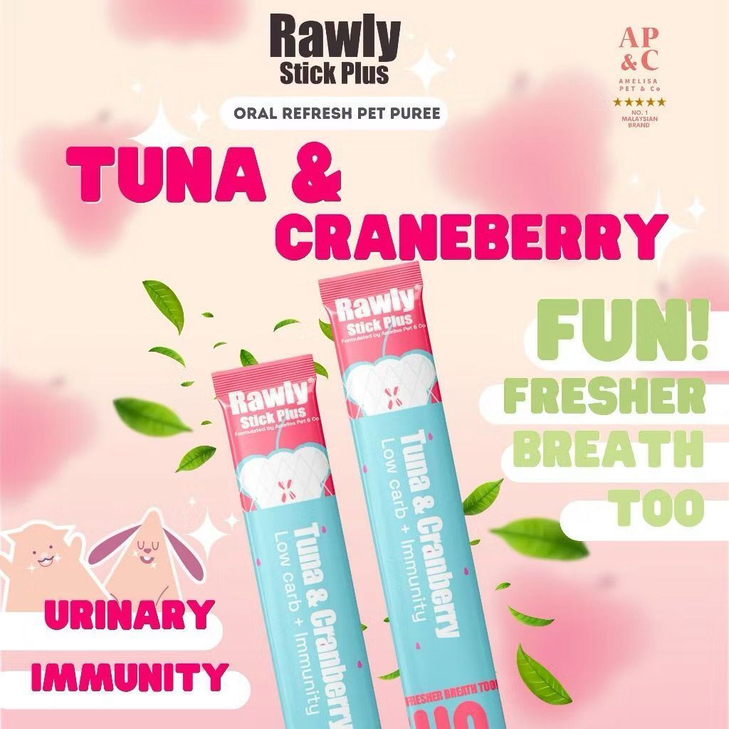 WhatsApp Image 2026-01-30 at 12.03.59 PM (4)