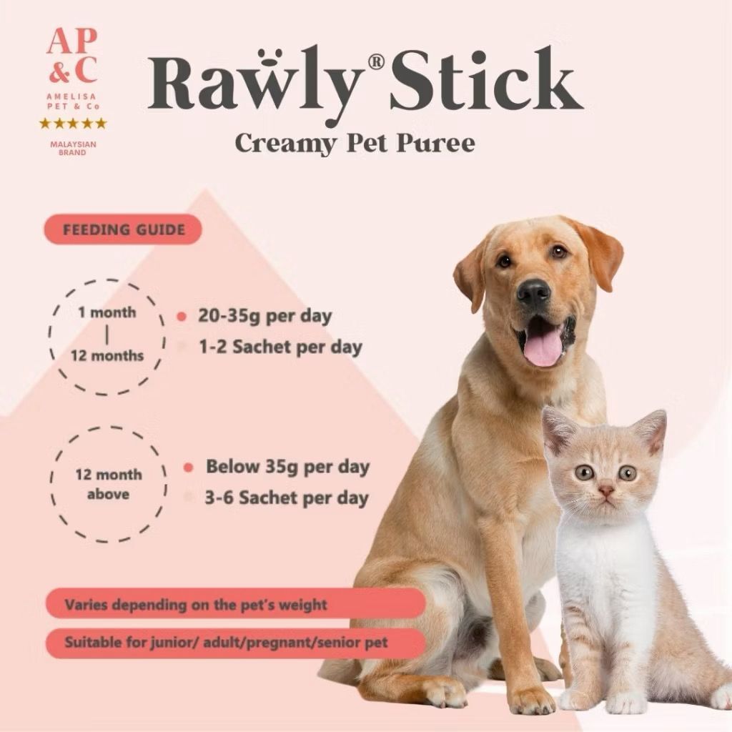 WhatsApp Image 2026-01-30 at 12.03.59 PM