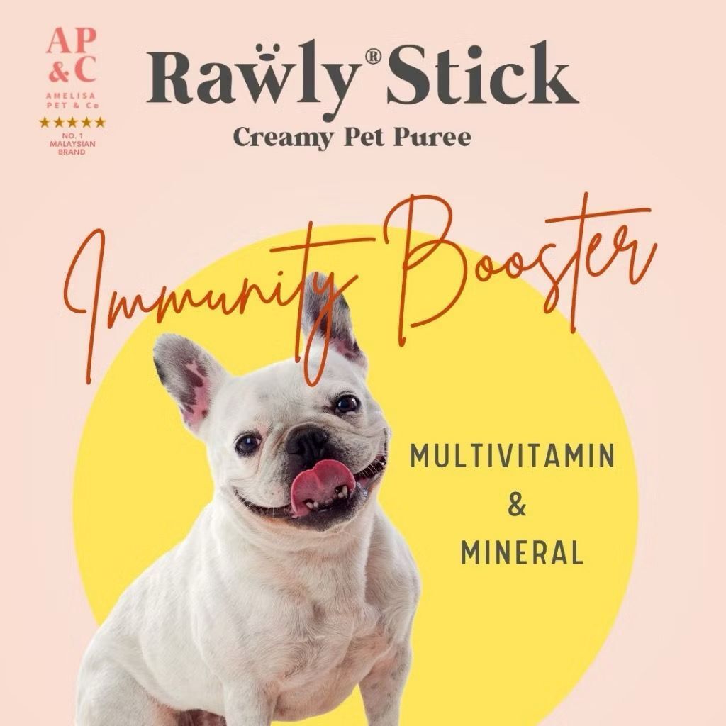 WhatsApp Image 2026-01-30 at 12.03.59 PM (1)