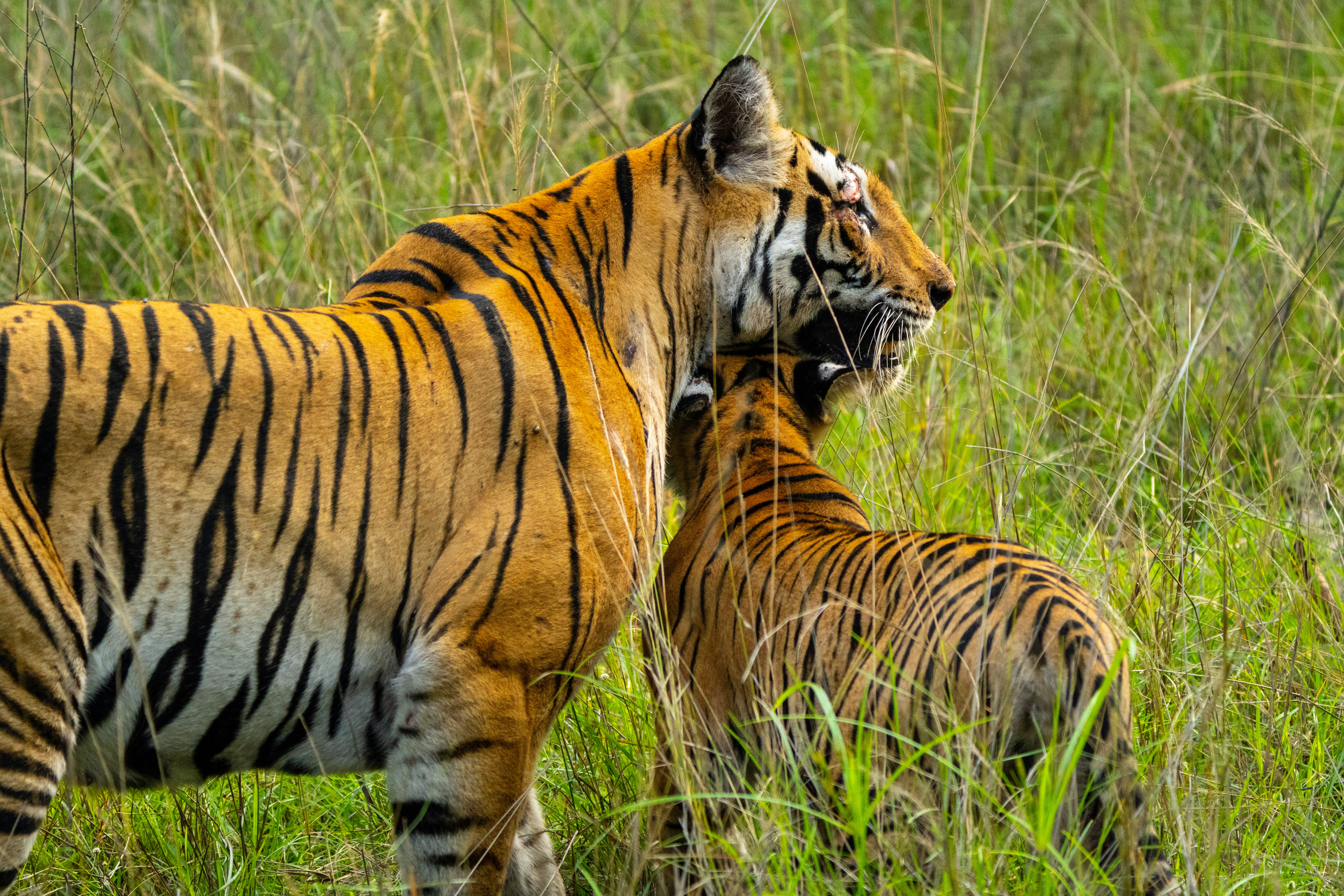 vatsal-parekh-M6qNZW_-lvo-unsplash