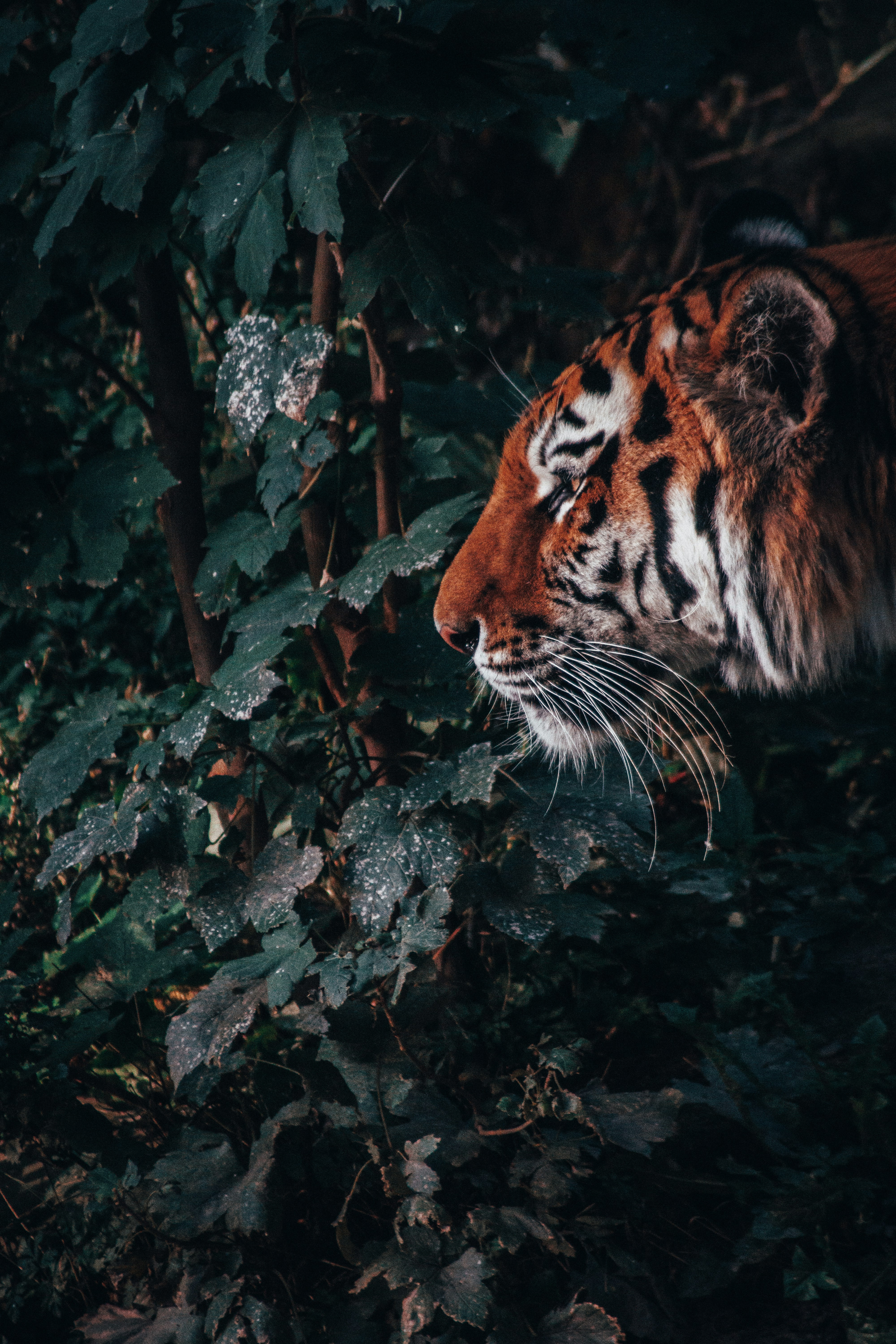 benjamin-raffetseder-3IzKtuKdGuE-unsplash