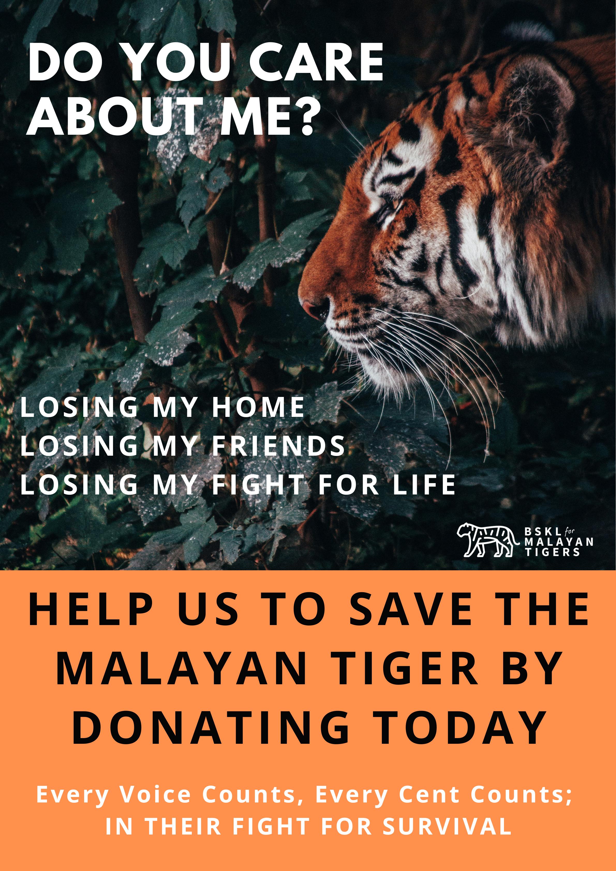 Copy of BSKL for Malayan Tigers 2026 Posters (2)