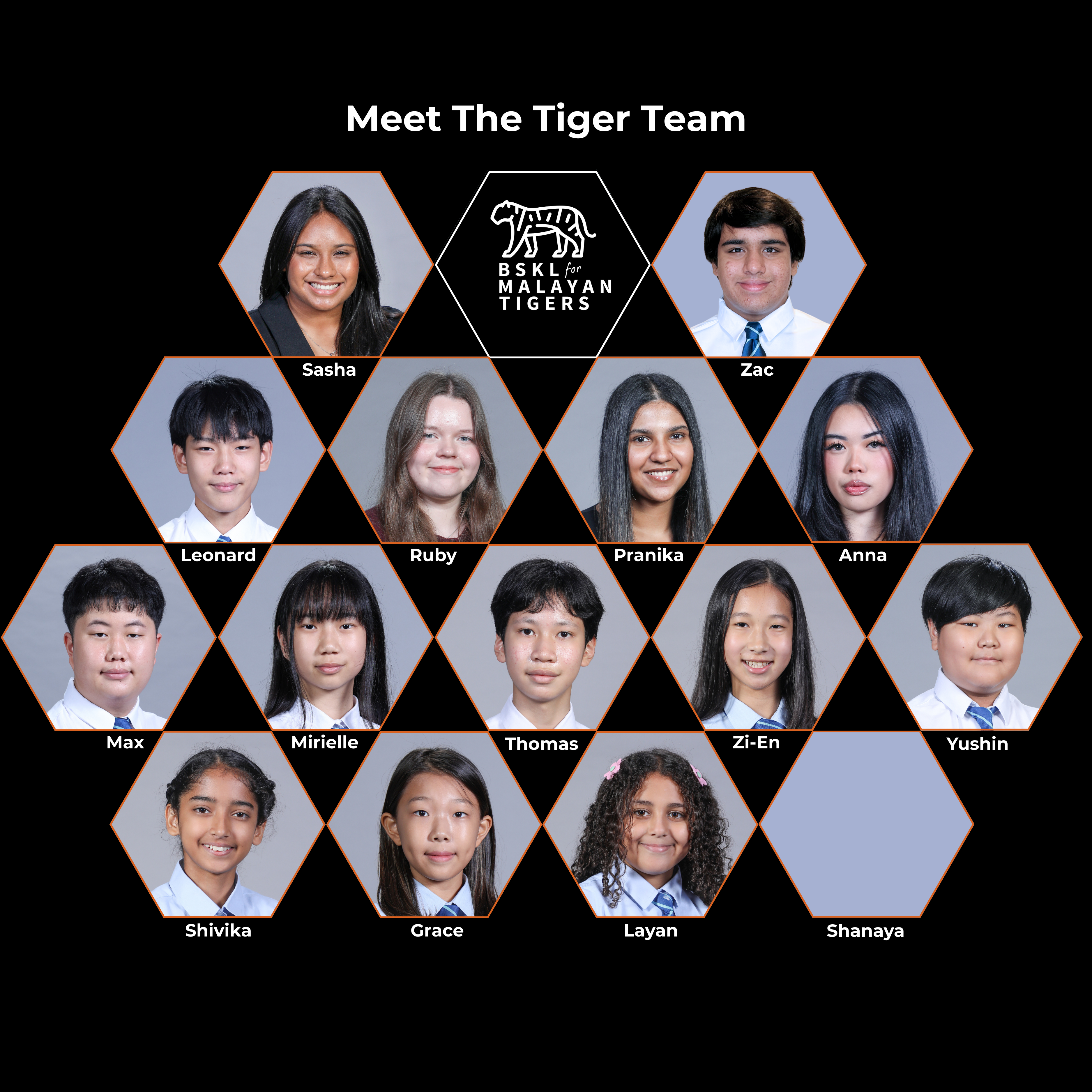 Malayan Tiger External