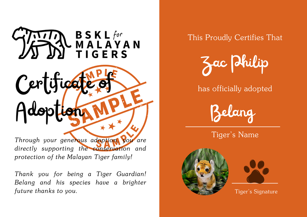 Green and Brown Illustrated Wildlife Adoption Certificate