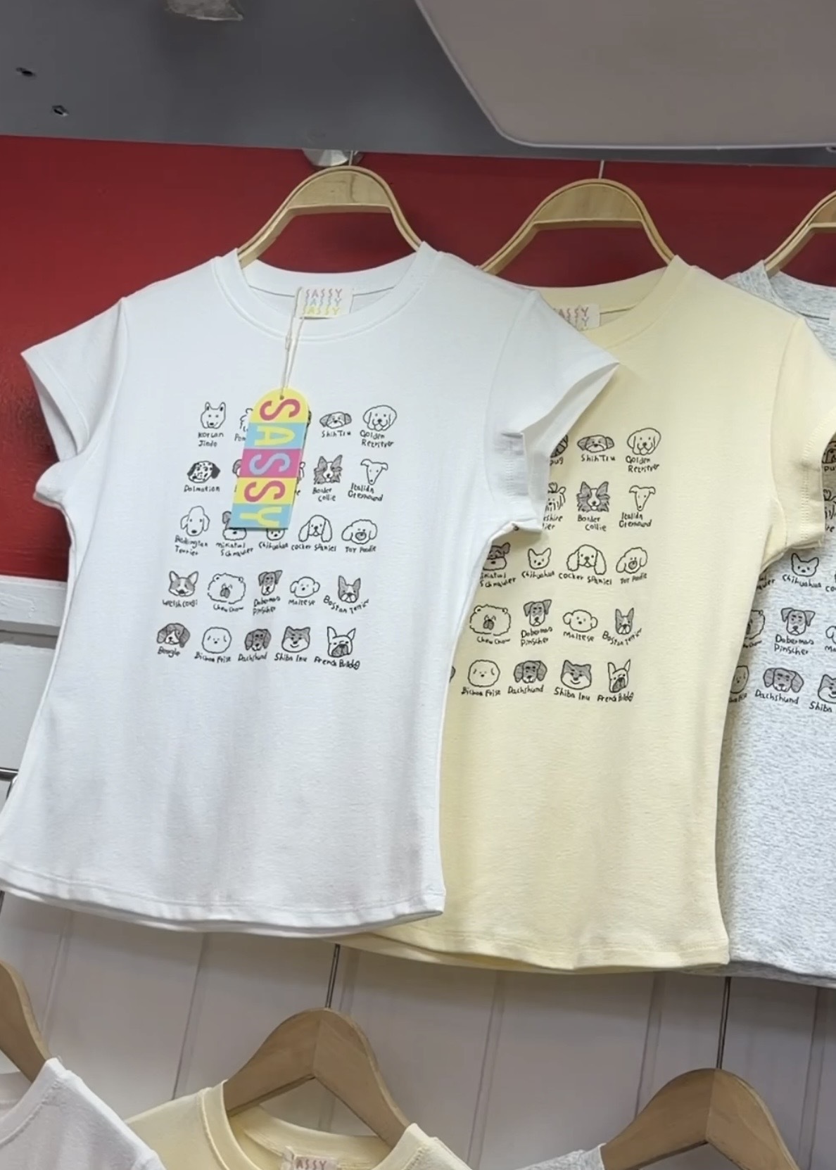 image_48BBB9C6-80FD-4395-9931-13DE59D1799A_1774686046