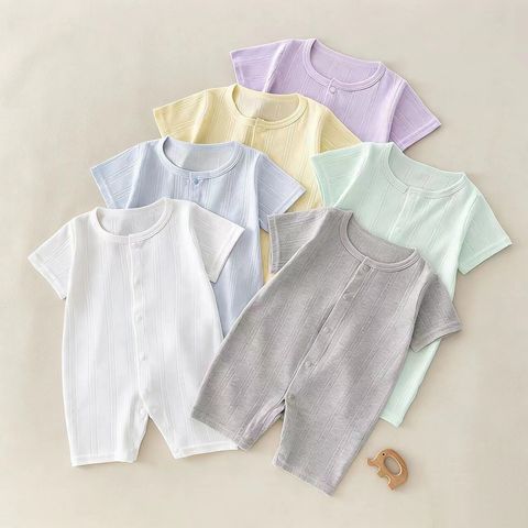 image_D242E528-52C9-4787-B980-ECF0234E151B_1774849555