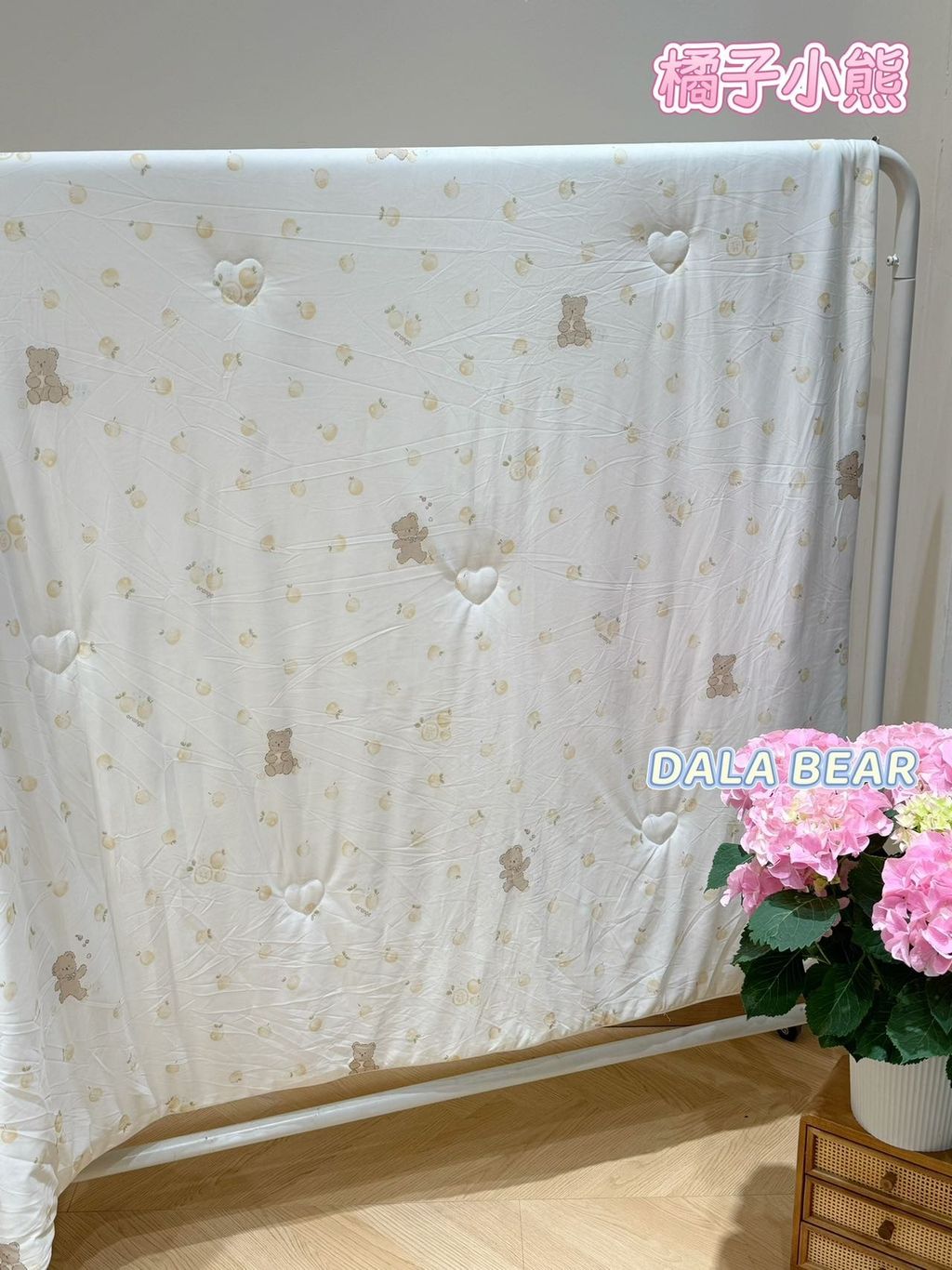 image_E8AAAC4D-F2A9-4256-806B-4E1CB411D2C2_1776870429