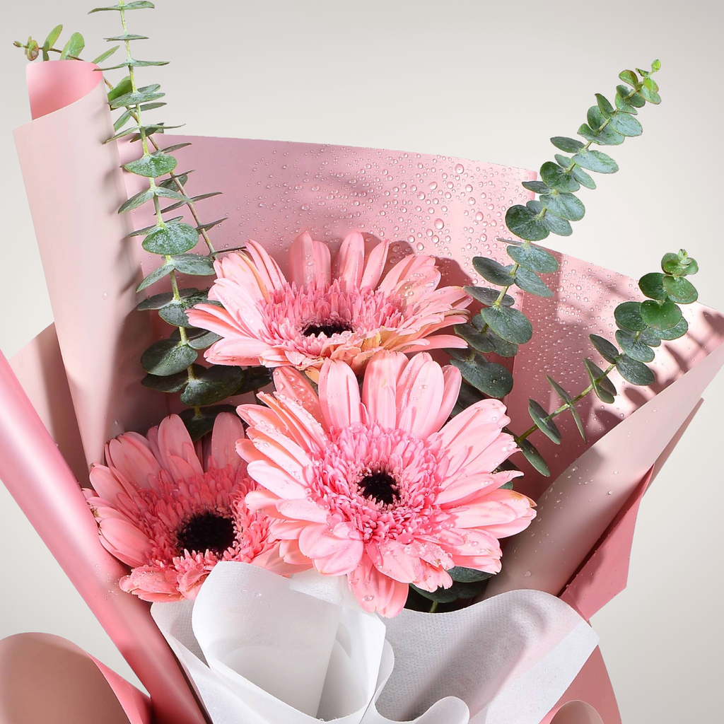 Passion Blossom gebera and eucalyptus hand bouquet for birthday or anniversary with delivery in Kuala Lumpur and Selangor
