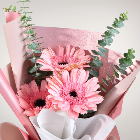 Passion Blossom gebera and eucalyptus hand bouquet for birthday or anniversary with delivery in Kuala Lumpur and Selangor