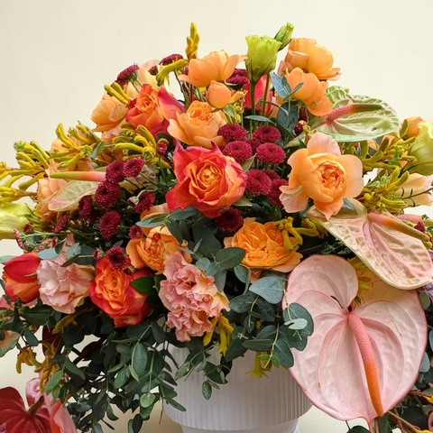 Blooming Grace anthurium, kangaroo paw and rose table arrangement for birthday or anniversary with delivery in Kuala Lumpur and Selangor