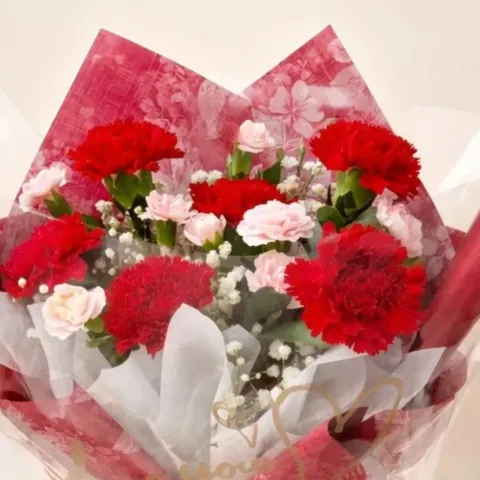 Blush Garden carnations and spray carnations hand bouquet for Mother's Day or birthday with delivery in Kuala Lumpur and Selangor