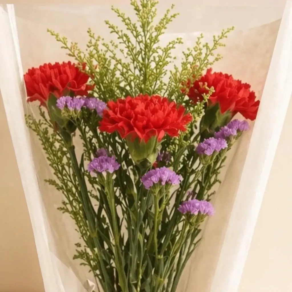 Elegant Blossom carnation hand bouquet for Mother's Day, birthday or anniversary with delivery in Kuala Lumpur and Selangor