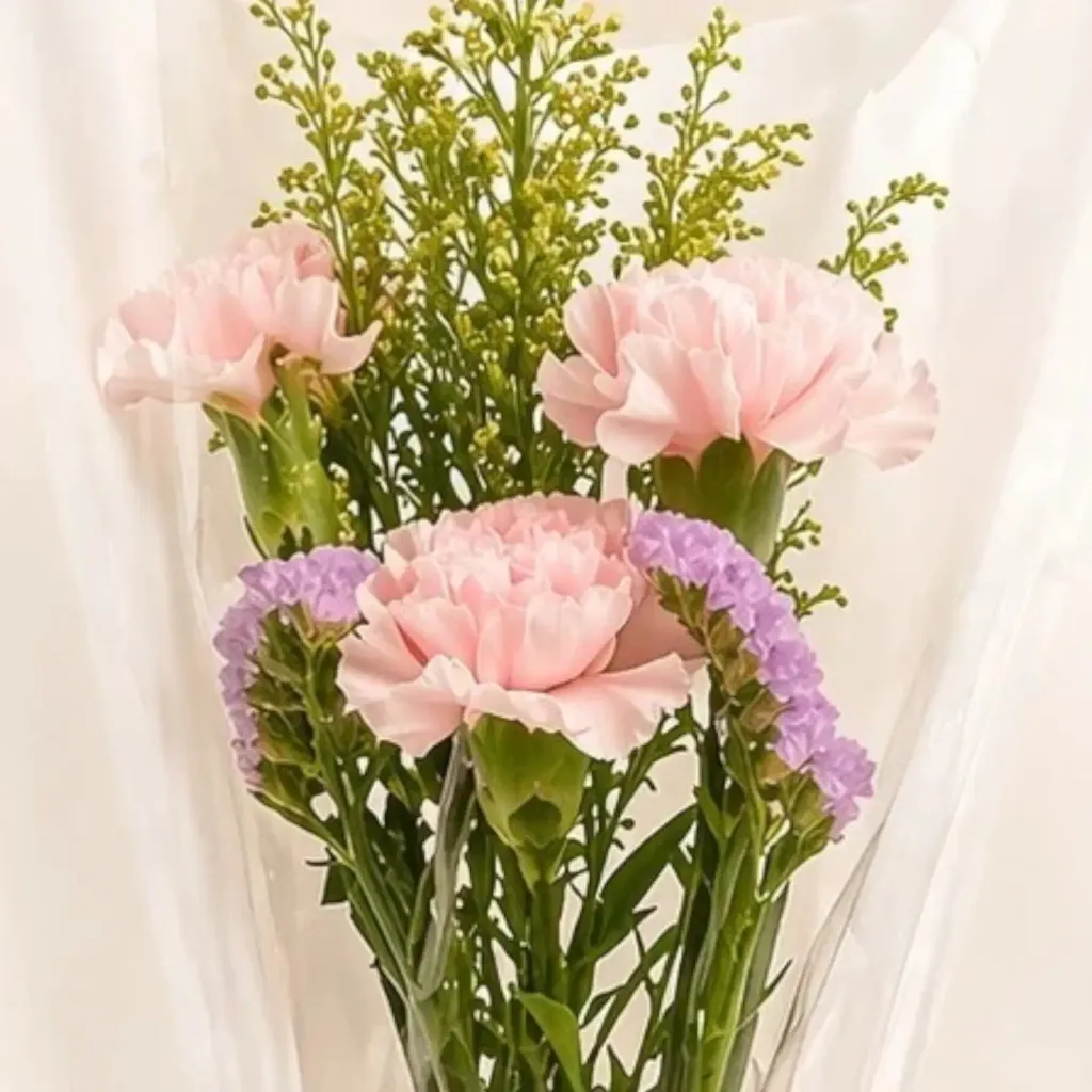 Elegant Blossom carnation hand bouquet for Mother's Day, birthday or anniversary with delivery in Kuala Lumpur and Selangor