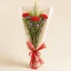 Red Carnation