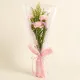 Pink Carnation