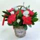 Red Carnation