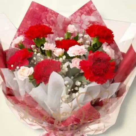Blush Garden carnations and spray carnations hand bouquet for Mother's Day or birthday with delivery in Kuala Lumpur and Selangor
