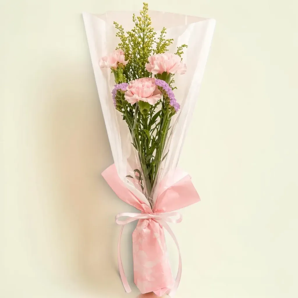 Elegant Blossom carnation hand bouquet for Mother's Day, birthday or anniversary with delivery in Kuala Lumpur and Selangor