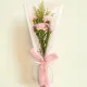 Pink Carnation