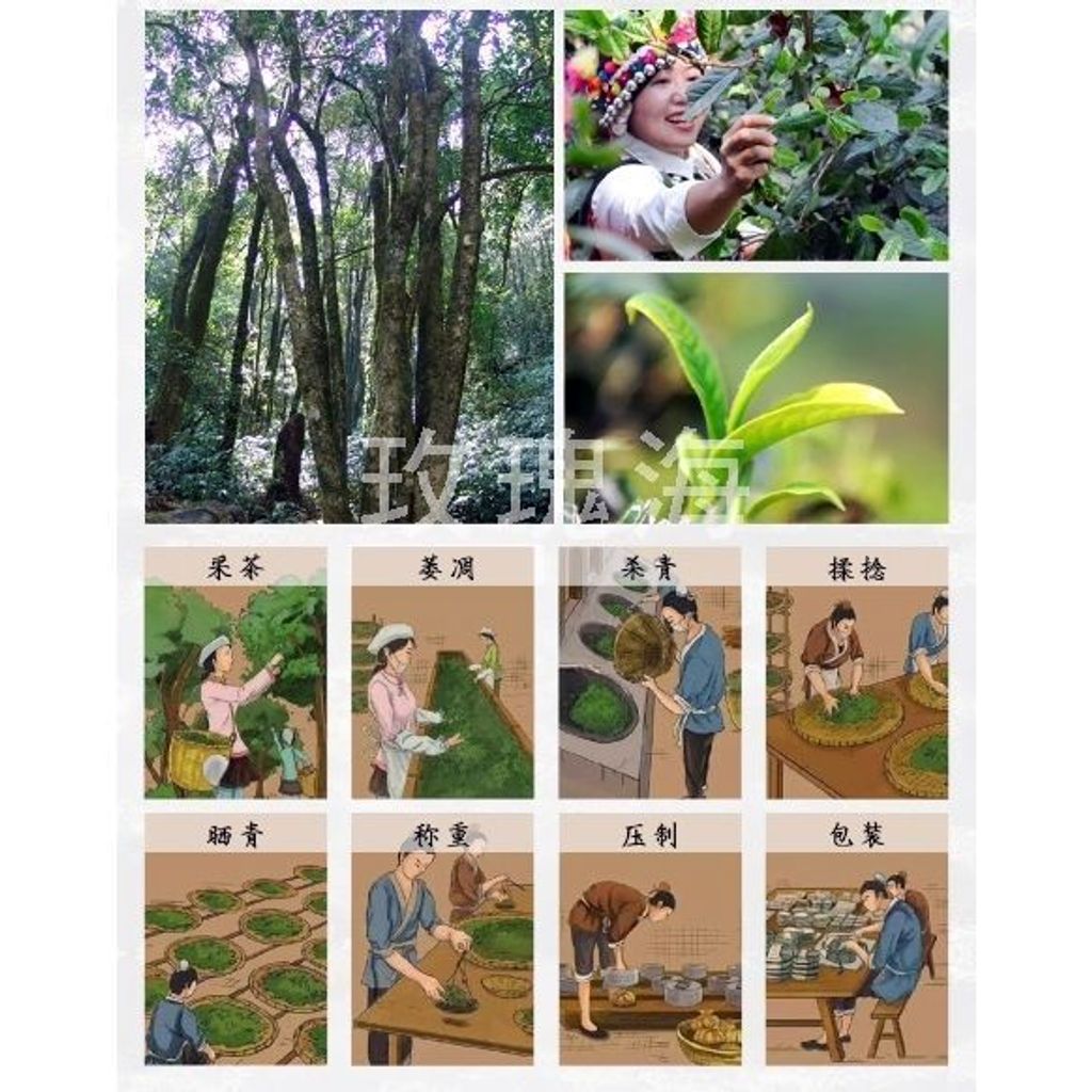 sg-11134201-8262b-mk16a2dphb7oc9