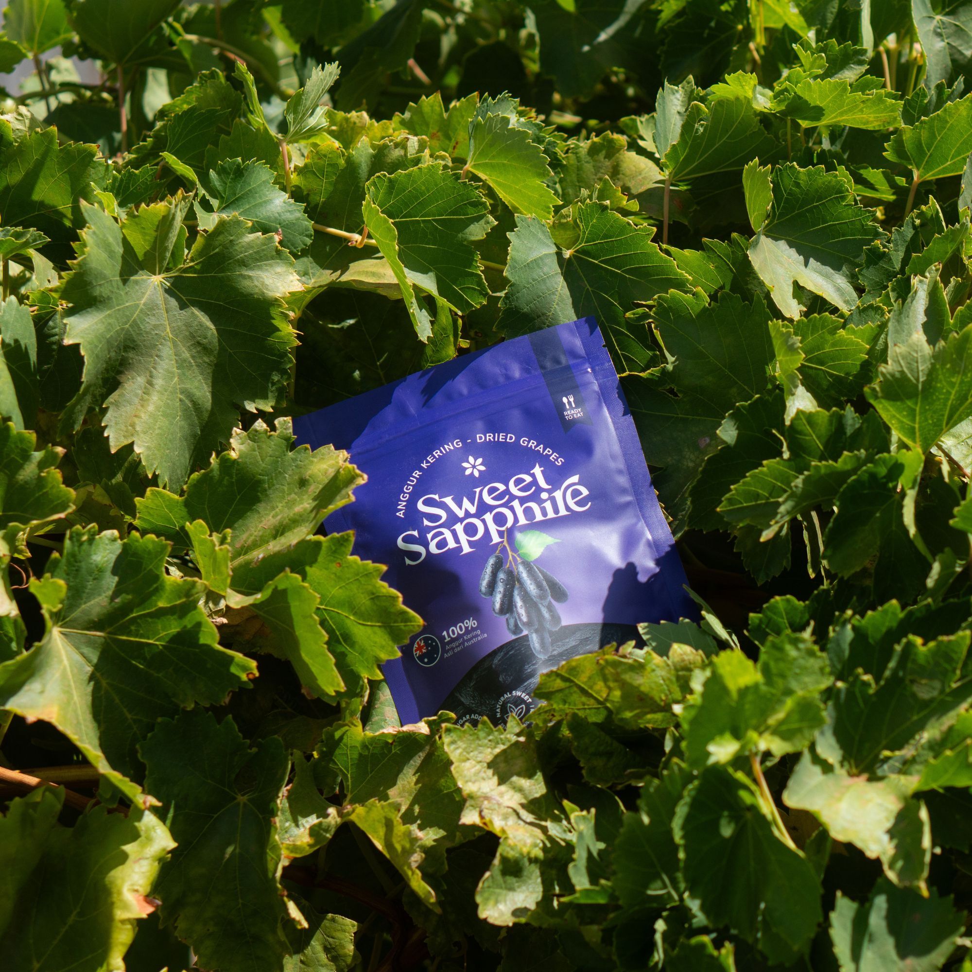 hanaaurea-dried-grape