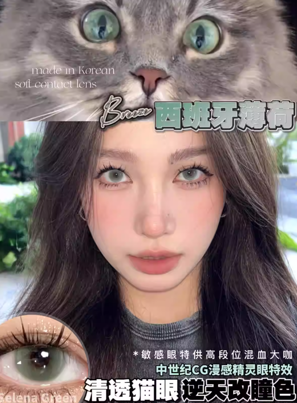 屏幕截图 2026-03-04 215445