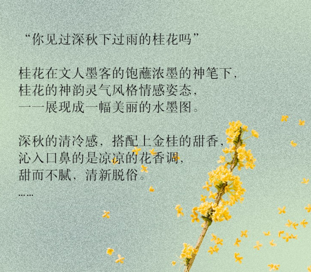 屏幕截图 2026-04-17 160116