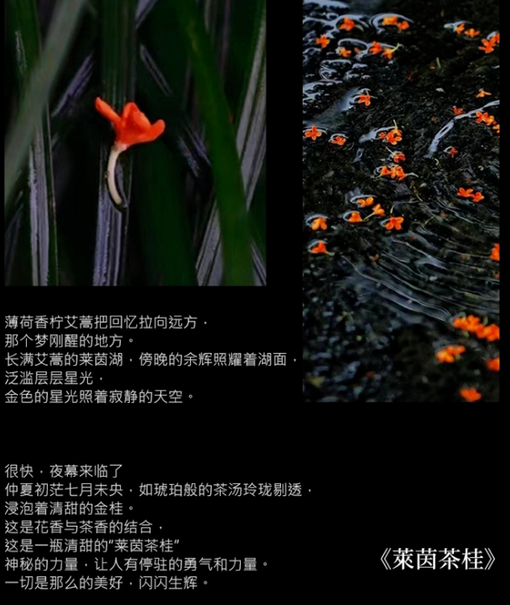 屏幕截图 2026-04-19 121240