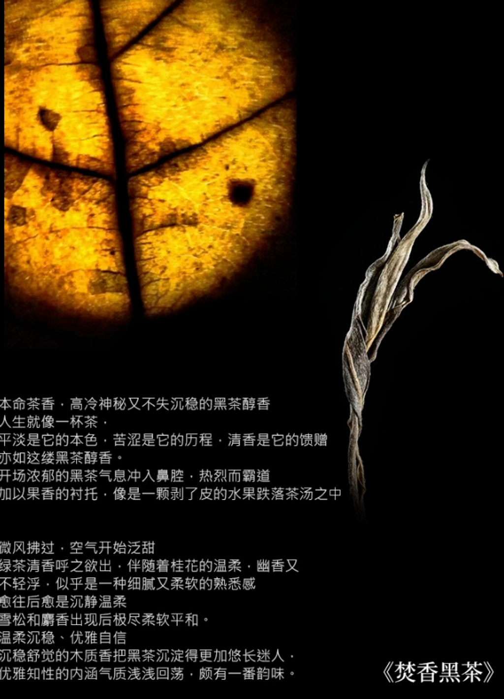 屏幕截图 2026-04-19 120630