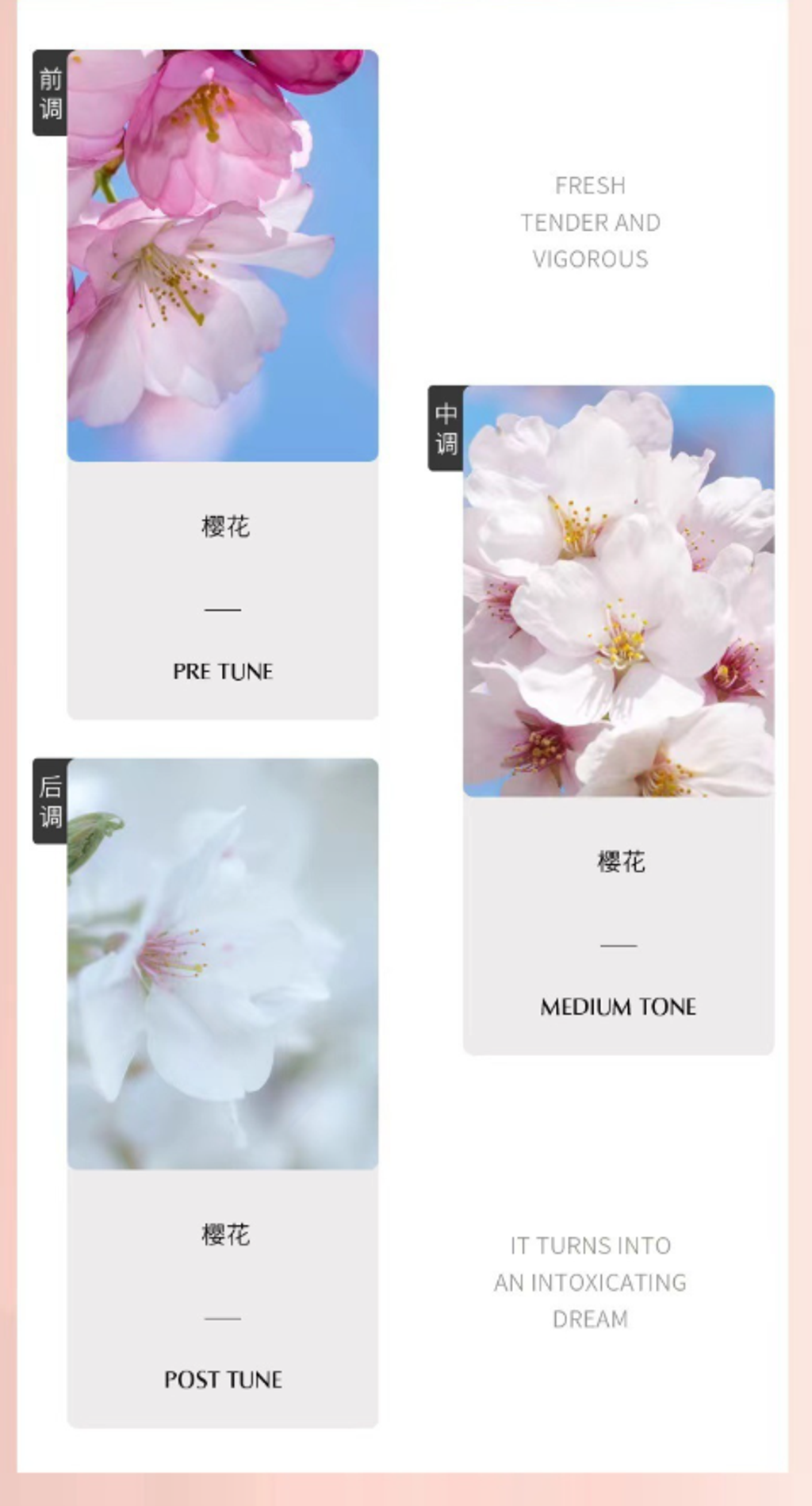 屏幕截图 2026-04-27 112111