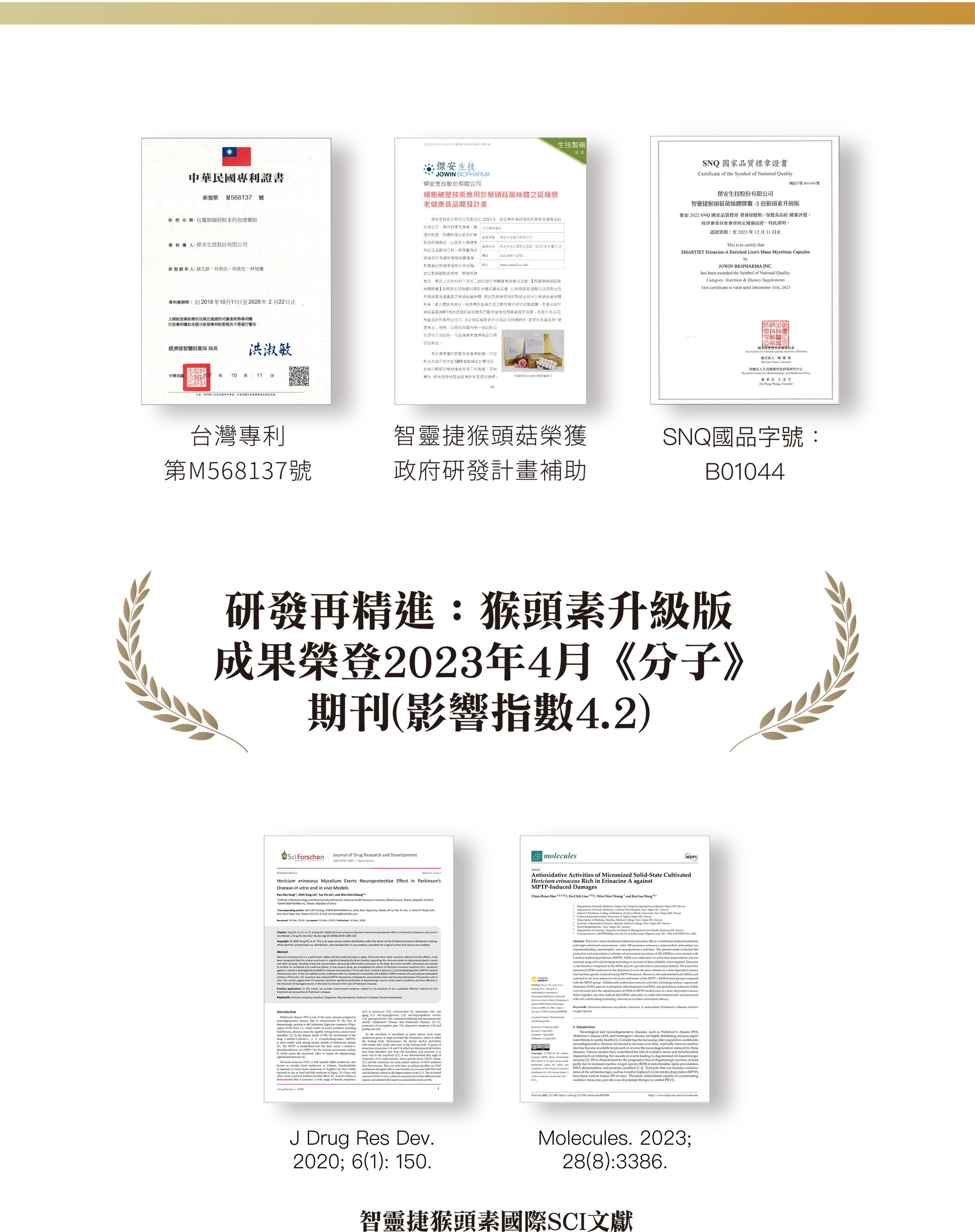 猴頭素一頁式_4