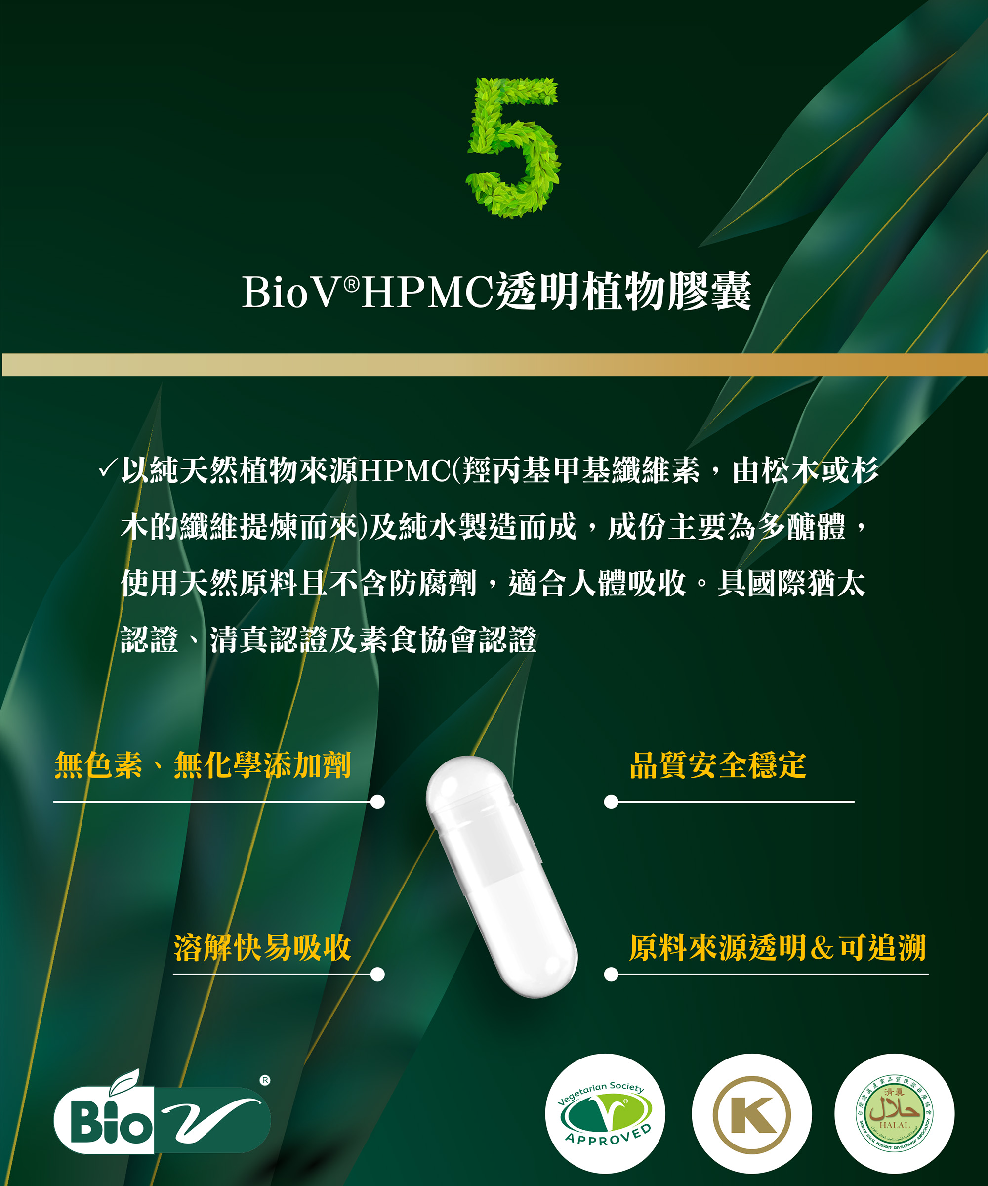 猴頭素一頁式_12