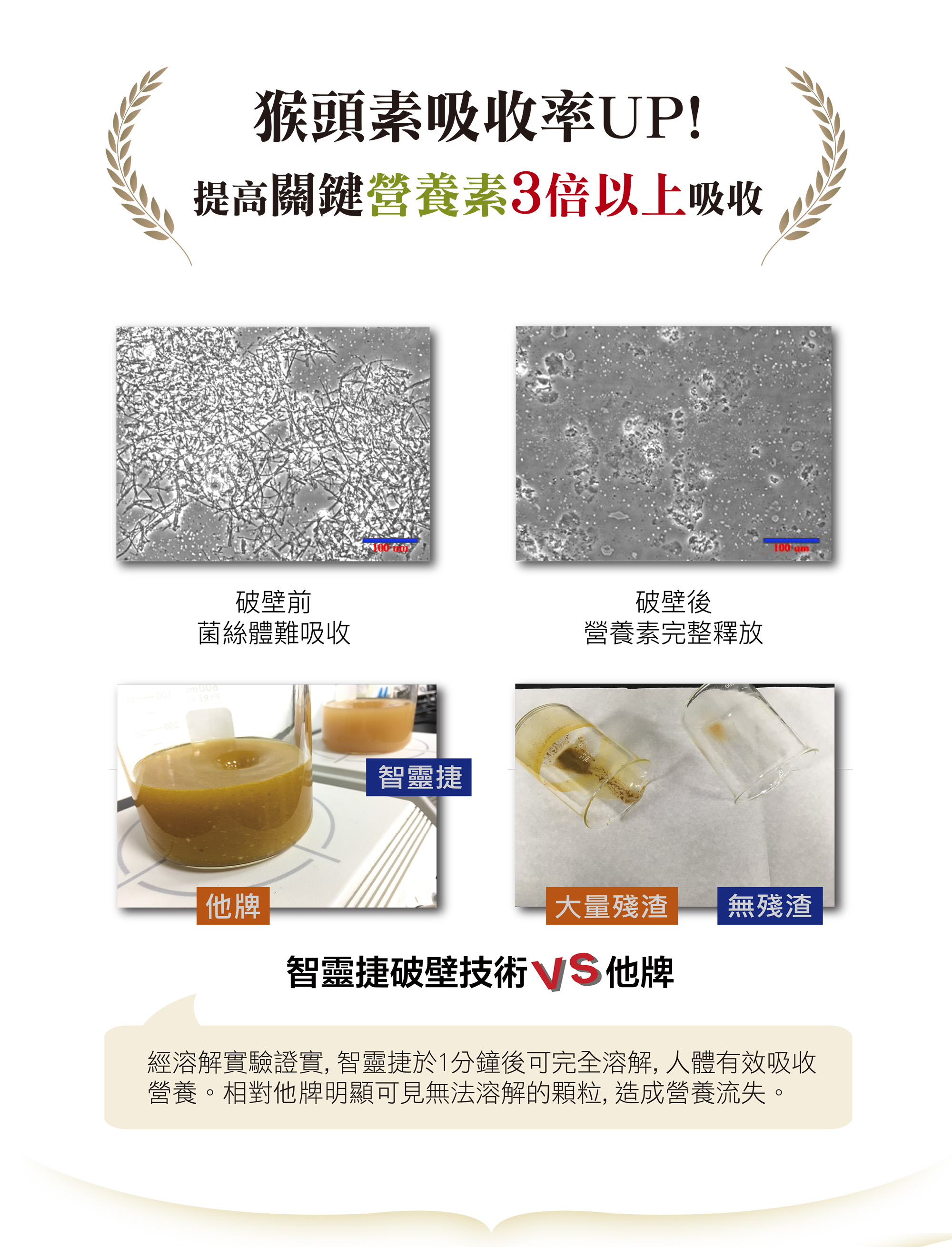 猴頭素一頁式_8