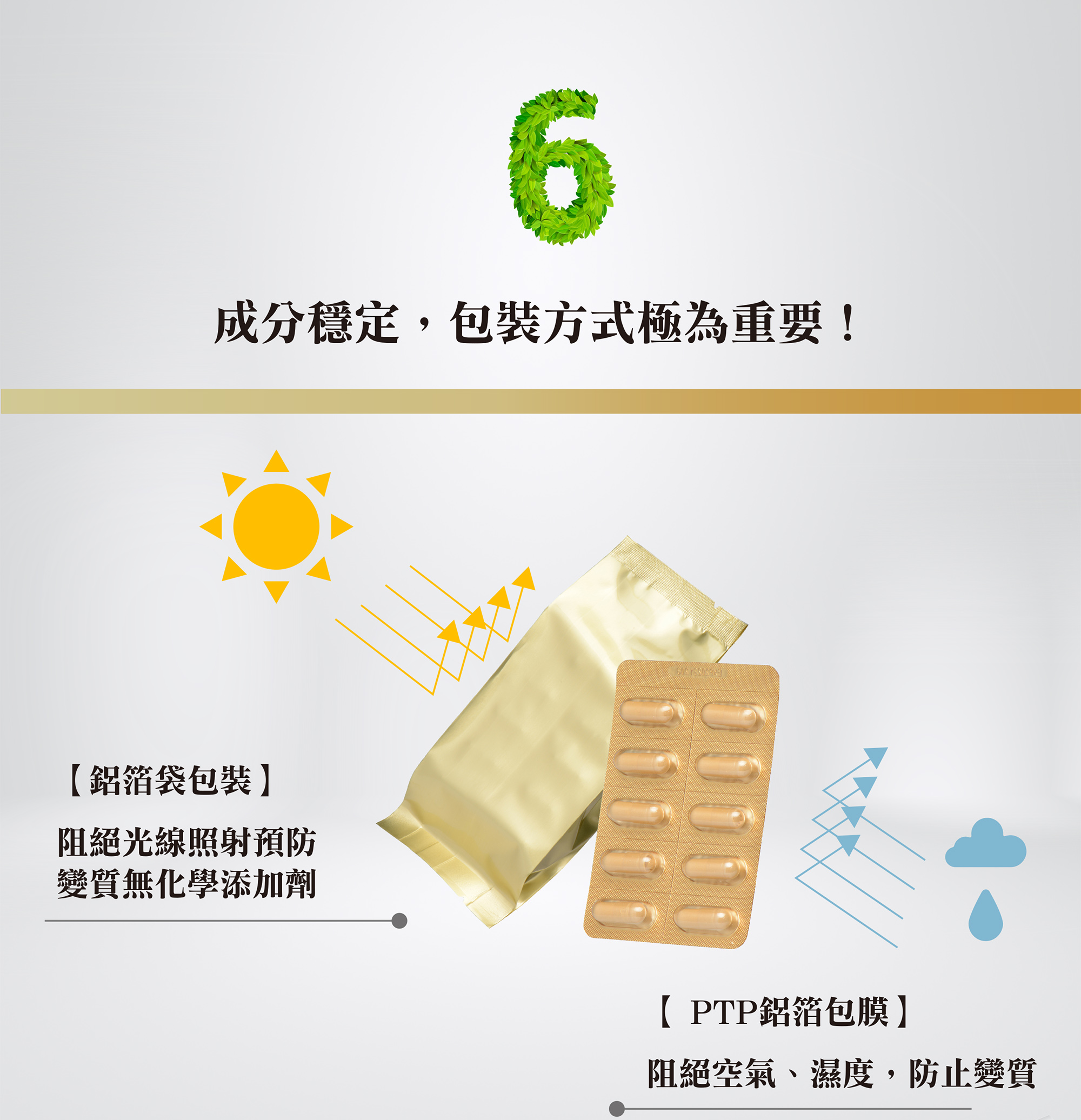 猴頭素一頁式_13