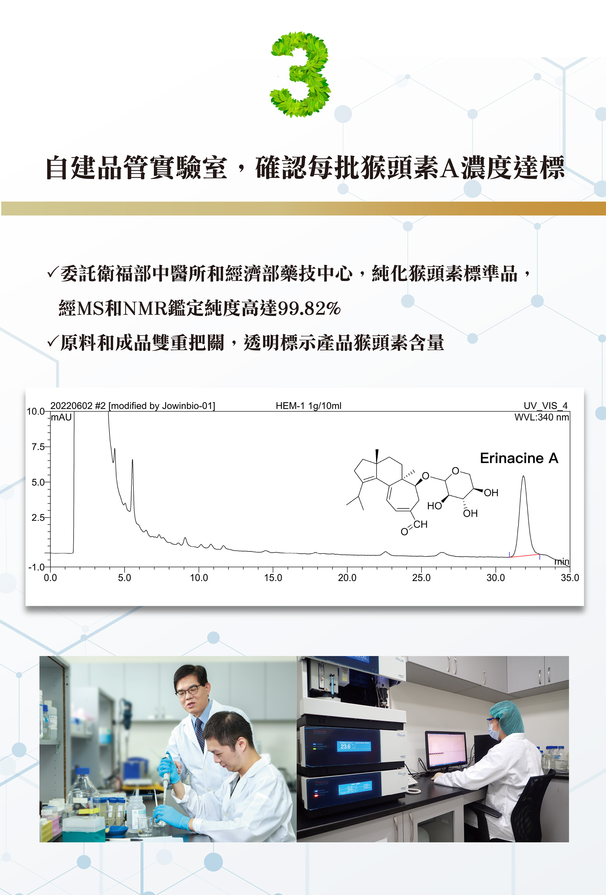 猴頭素一頁式_10