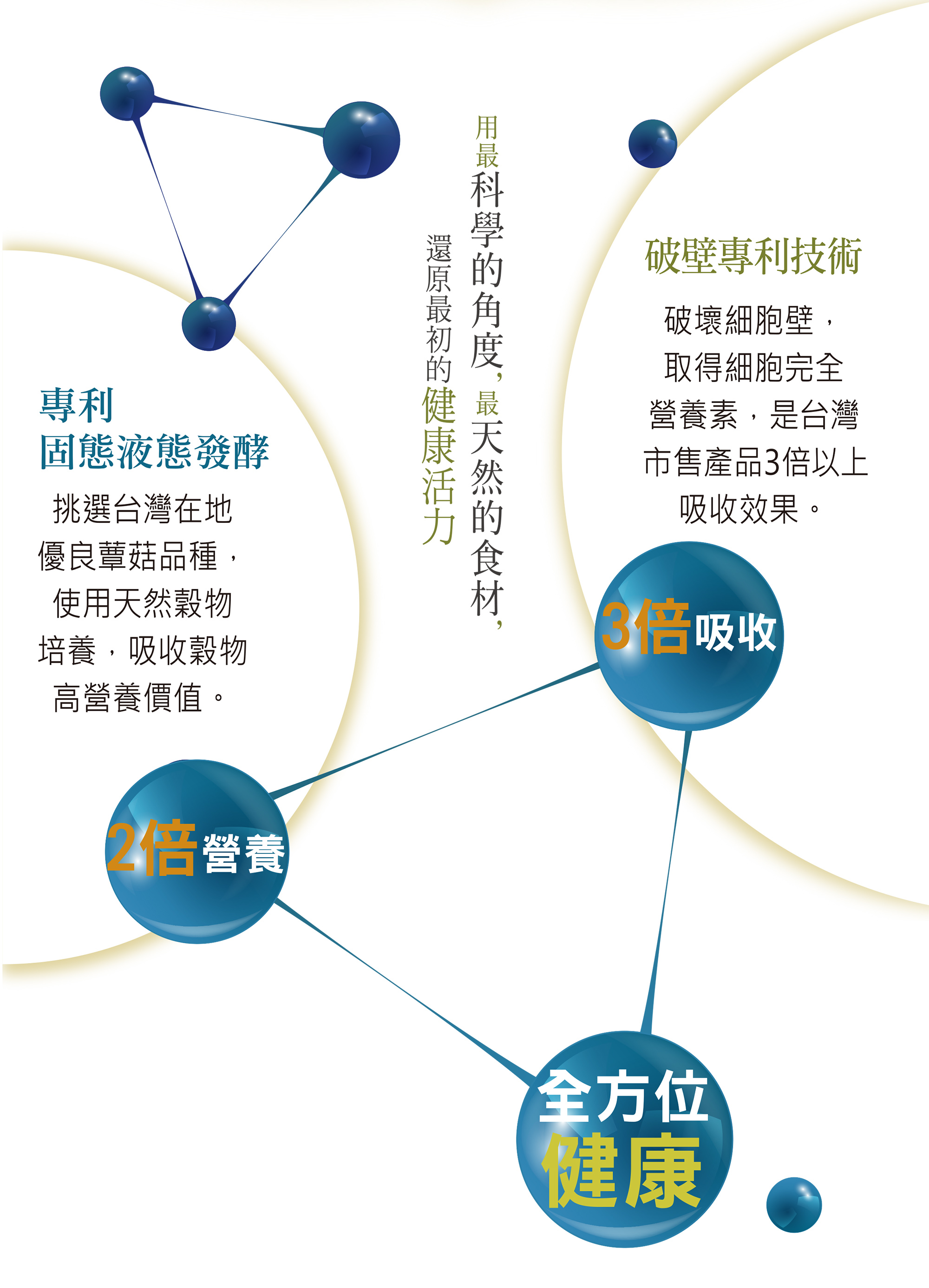 猴頭素一頁式_9