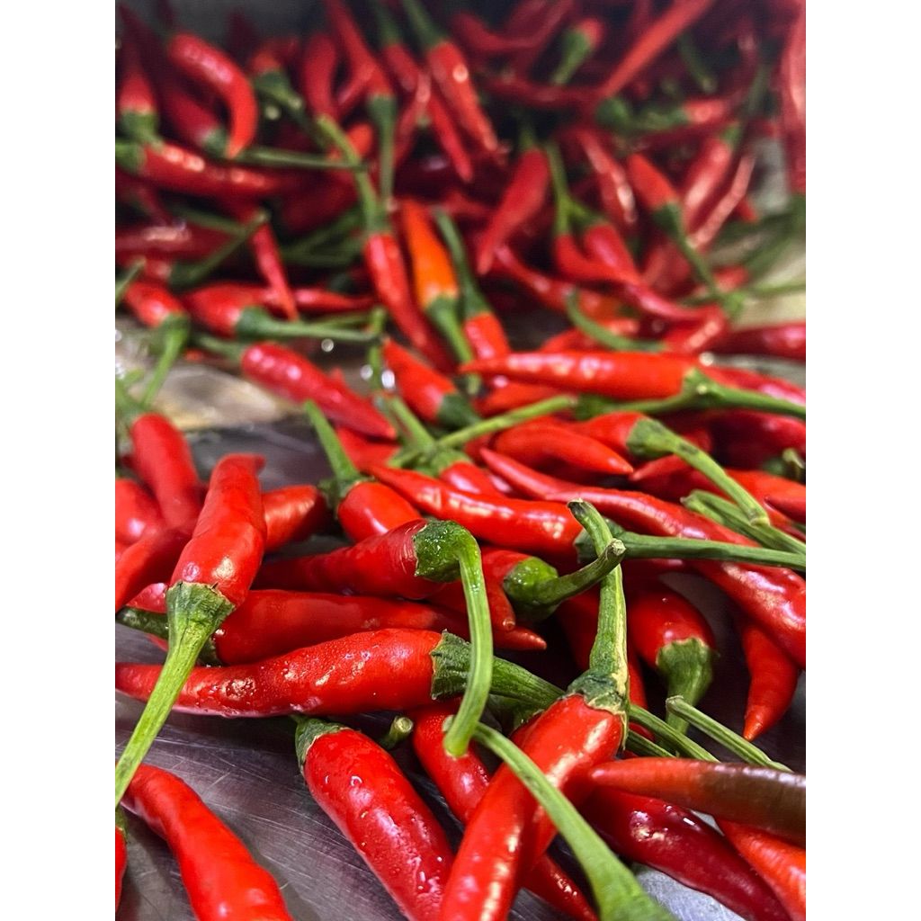 my-11134207-820ld-mfocty5xknbf0b