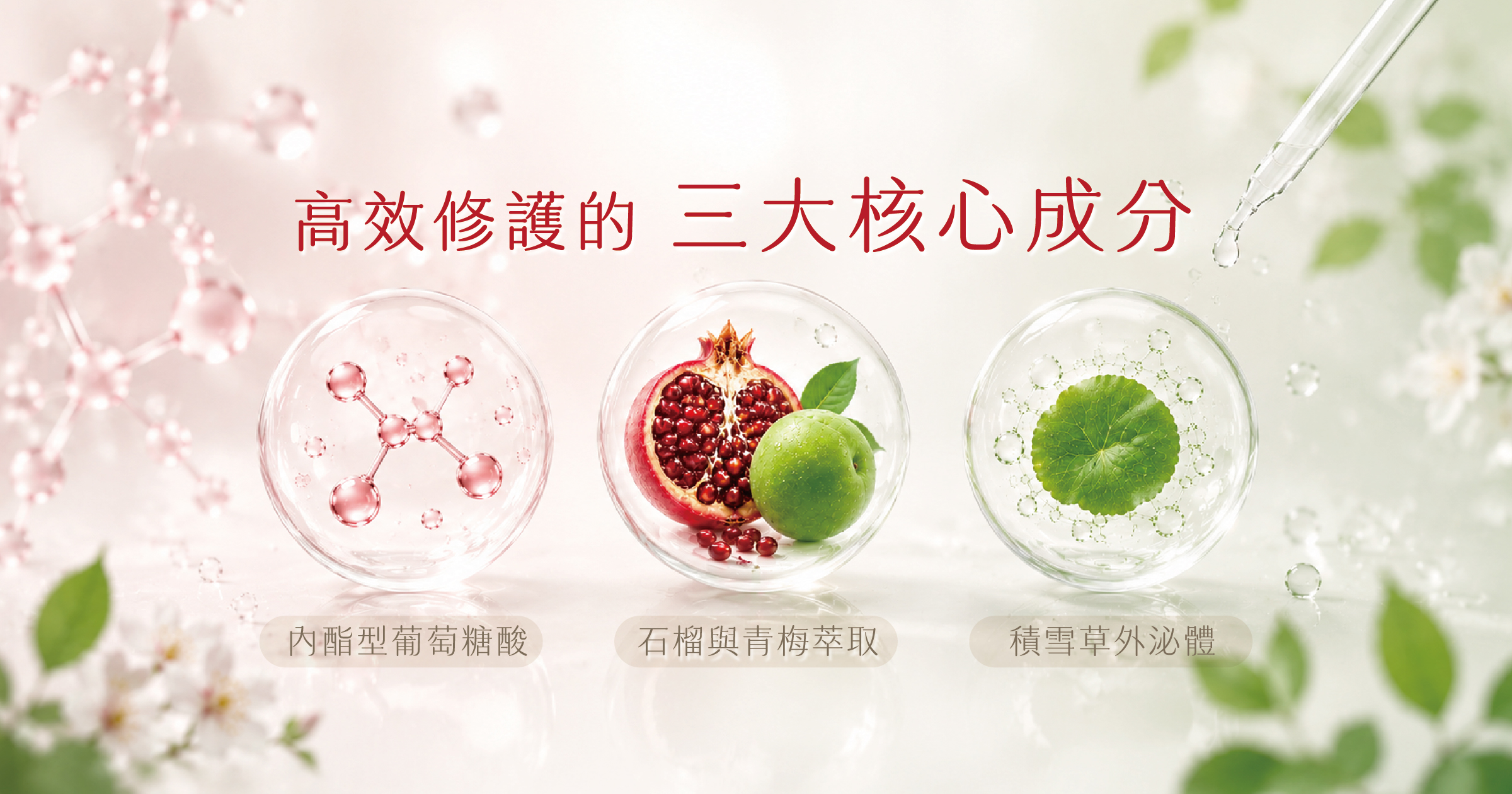 【深度解析】私密處乾澀與暗沉：從成分學看高效修護邏輯
