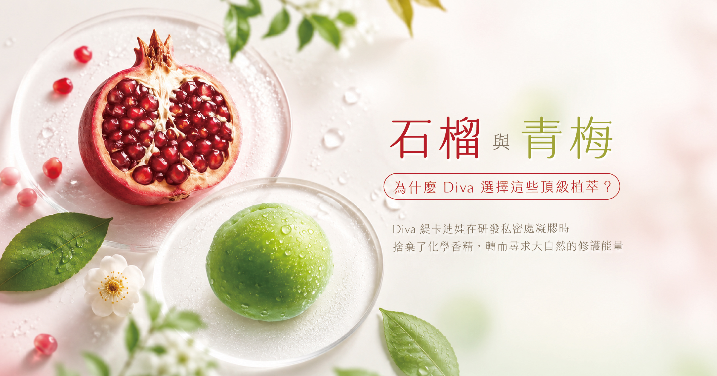【成分百科】石榴與青梅：為什麼 Diva 選擇這些頂級植萃守護妳的私密肌？