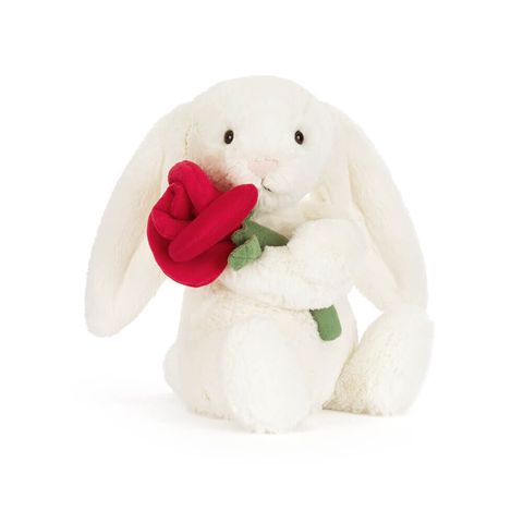 BB6ROSE__13825