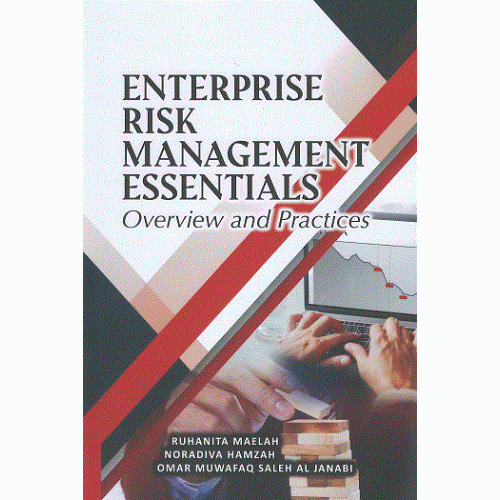 enterprise_risk-500x500