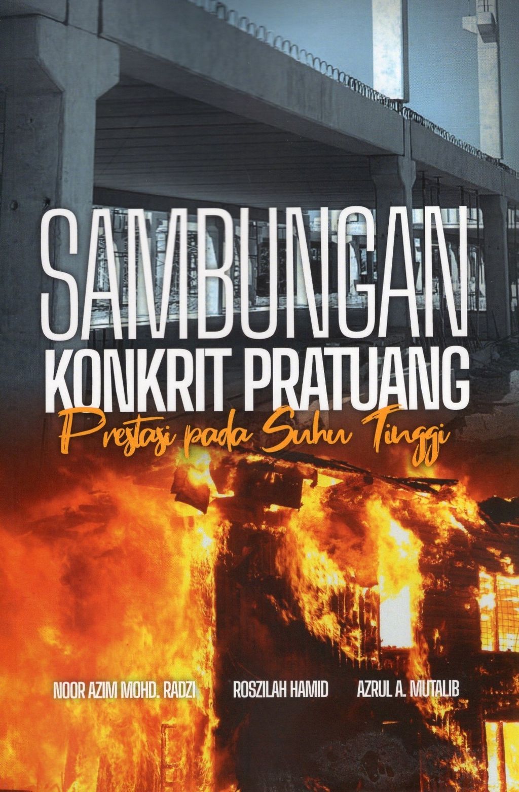 WhatsApp_Image_2025-01-08_at_17.39.53__1_