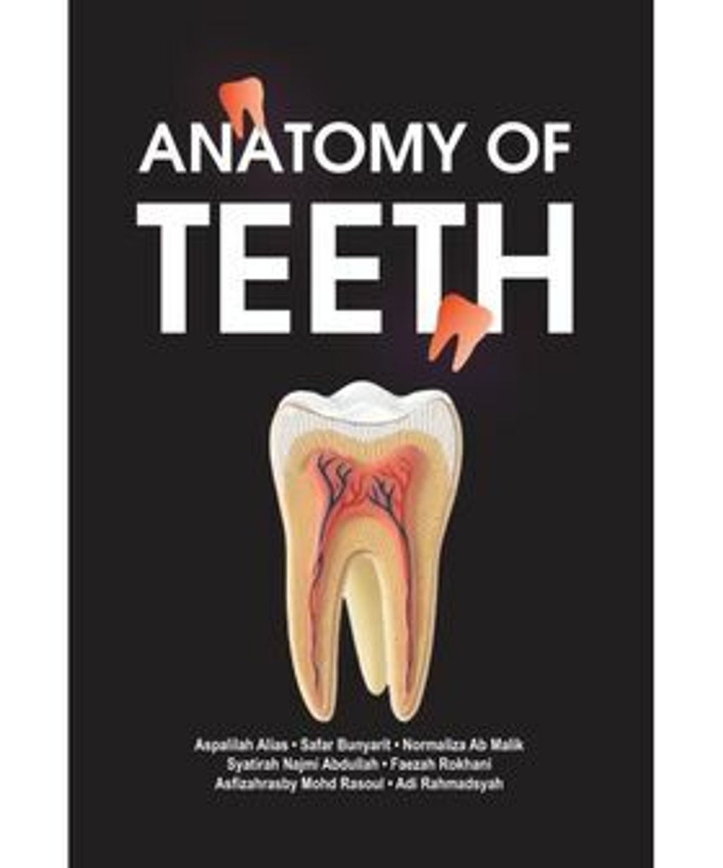 Anatomy_of_teeth_depan-500x600.png