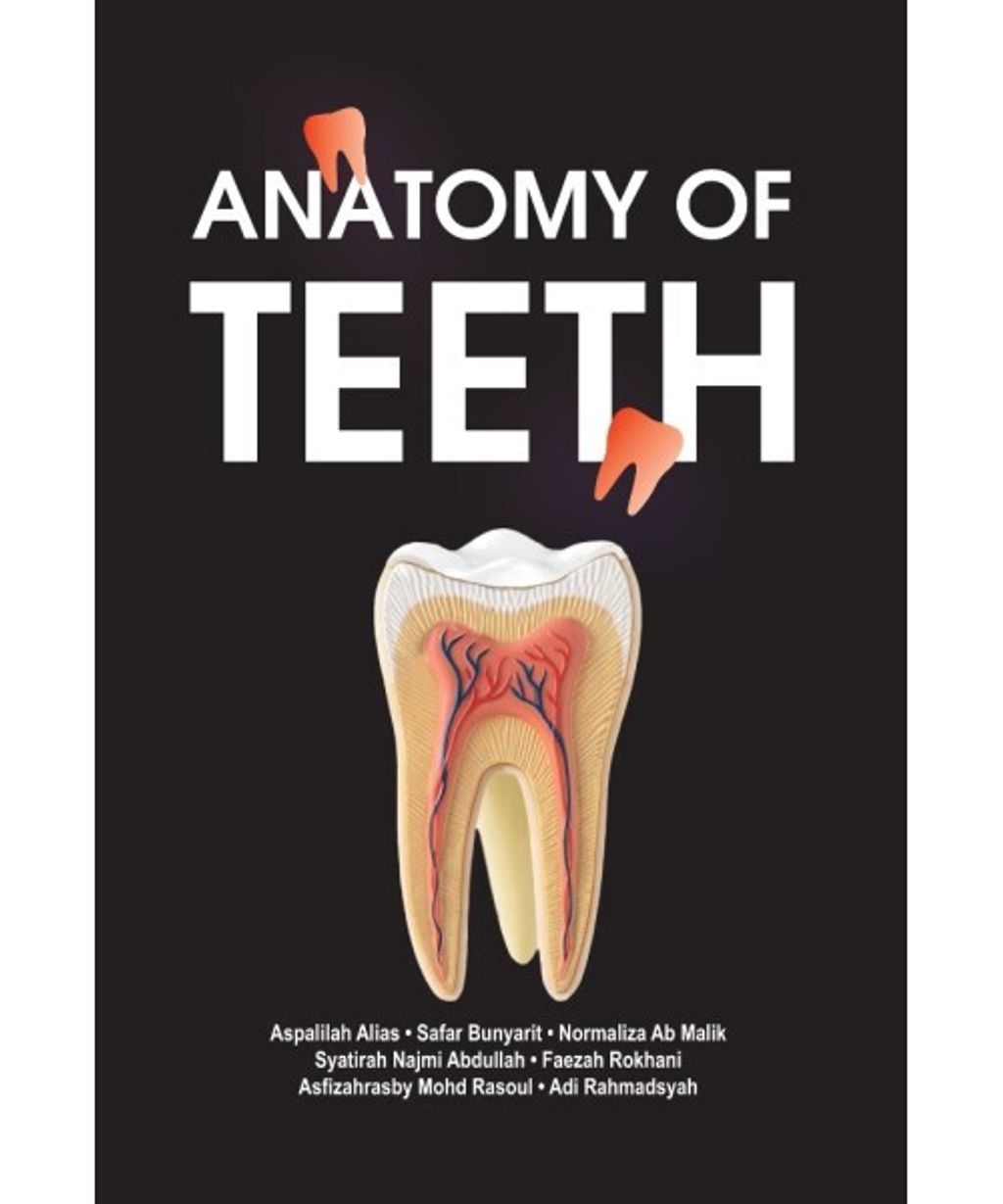 Anatomy_of_teeth_depan-500x600